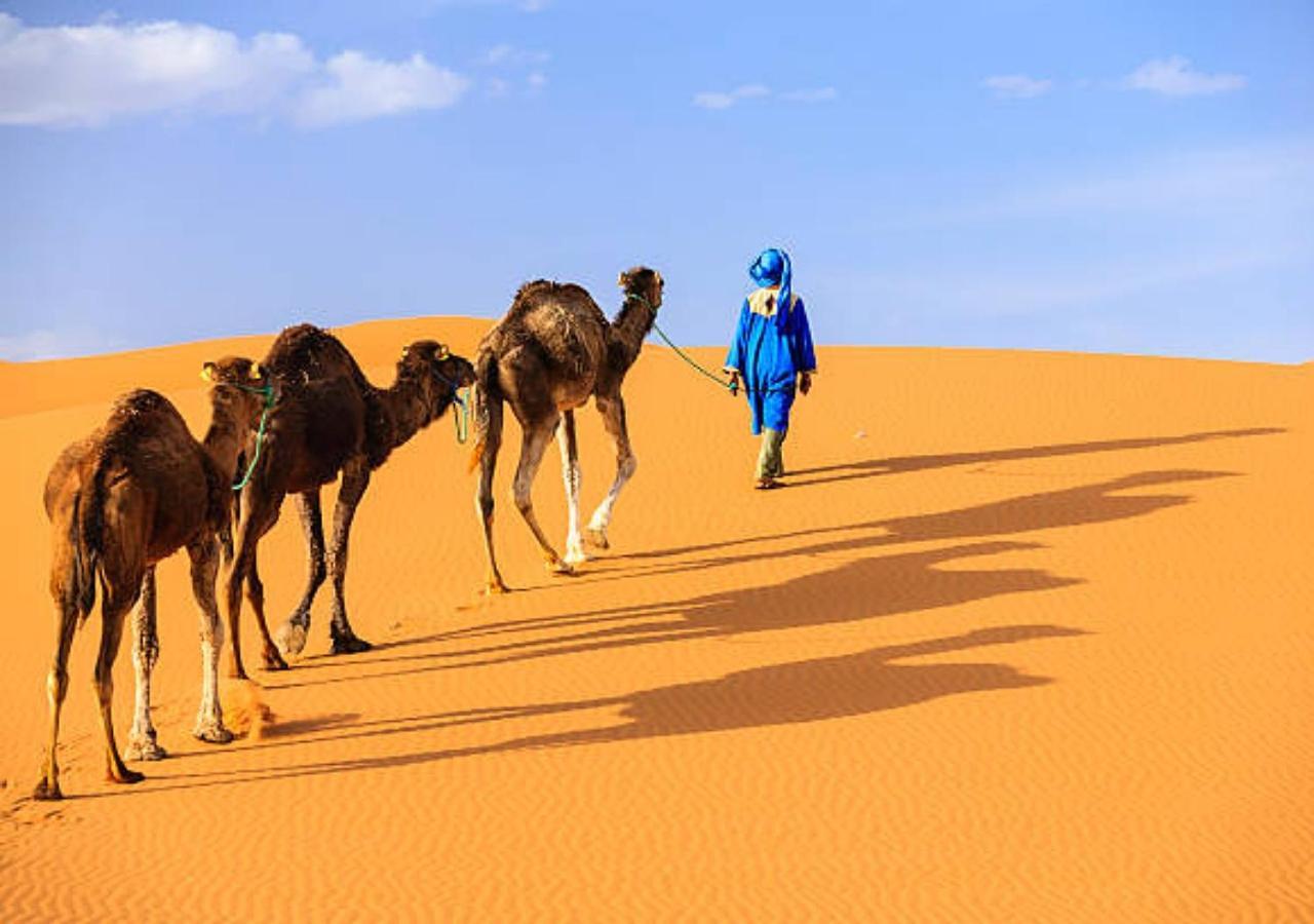 Desert Glamping Experience Merzouga Luaran gambar